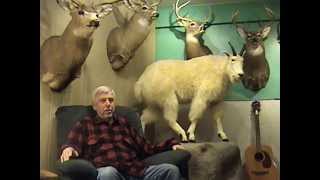 Alaskan Mountain Goat Hunting Adventure