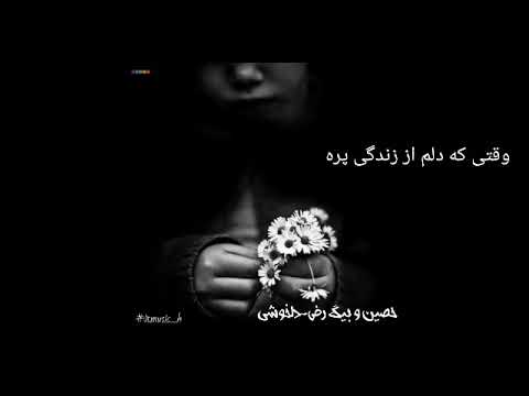 حصین و تی دی - دلخوشی