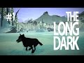 SCARED WOLF! - THE LONG DARK (EP.1) 