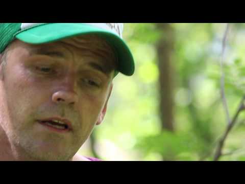 Kanonrock presenterer: The Thor Thorsen - Better Without