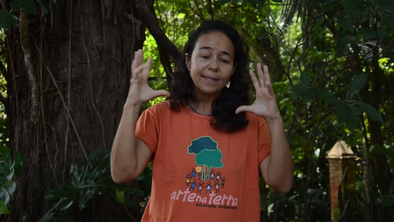 Poda em Agrofloresta – Exemplos Práticos | Módulo 4 - Aula 3