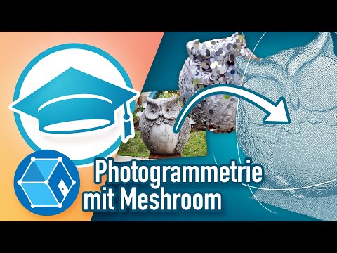 Photogrammetry | From photo to 3D model – MESHROOM