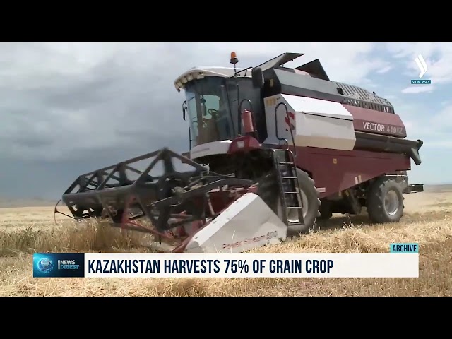 Қазақстанда дәнді дақылдардың 75% жиналды