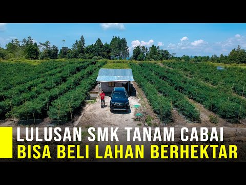 , title : 'Pengusaha Muda 23 Tahun Beli Tanah Berhektar Dari Bertani'