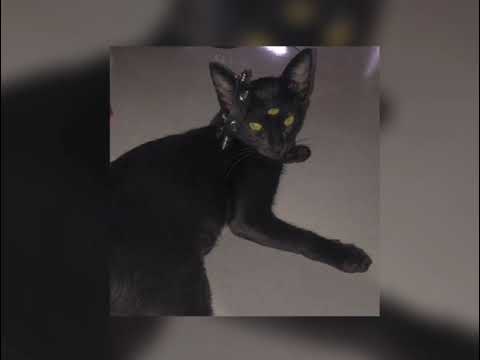 DRXG ADXICTION - I'll die next summer (sped up / nightcore)