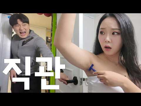 비디오 6