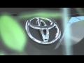 Scerbo - Toyota Haccourt