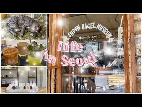 Curta viagem a Anguk e Samchung ** Museu Bagel de Londres | plop pizza | Samchung Bingsu | Tamburins **