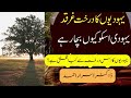 Dr Israr Ahmed Crusade Yahudion Ka Darakht Dr Israr Ahmed Bayan