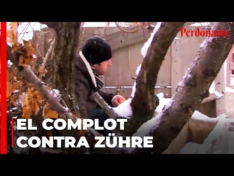 El ladrón vigila la casa de Zühre - Perdóname