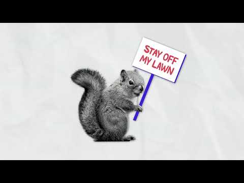 Discussion of the Overton Park case from Technologue Americana Episode 01 (unreleased)