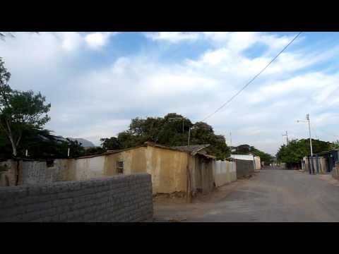 Pecaya Falcon Venezuela