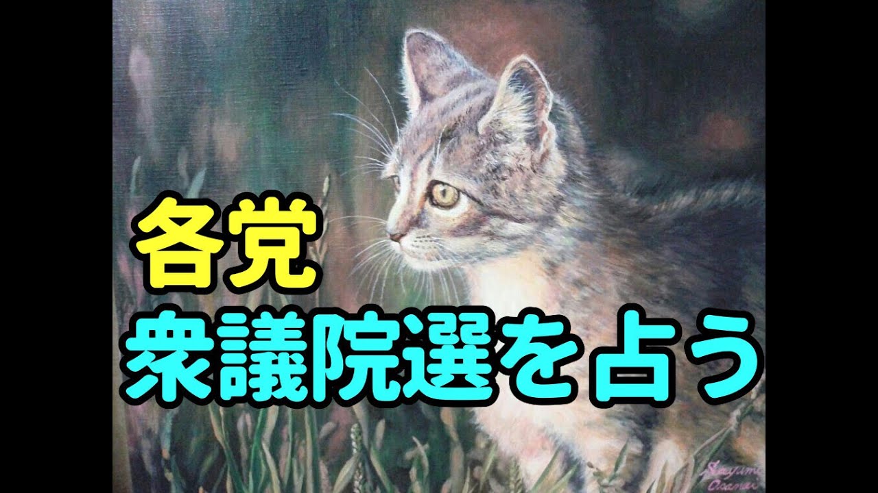 タロット占い　各党ー衆議院選を占う