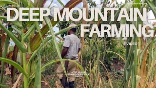 DEEP MOUNTAIN FARMING | A TRIP AROUND DOMINICAN REPUBLIC|  PART 3 | EP 168