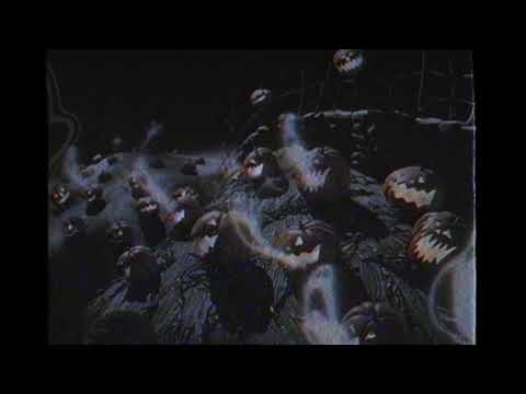 Beltrán - EN PELIGRO DE EXTINCIÓN (Video)