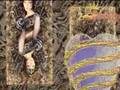 Cher Love and Understanding 