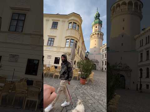 Pacsi Sopron #handreaction #krisztianarany #sopron #socialexperiment #pacsi