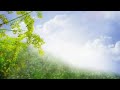Sukh Ke Sab Sathi WhatsApp Status