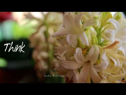 What you need to be successful.