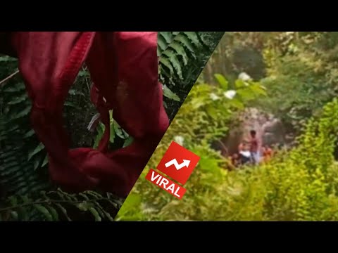 Viral ngayon itinapon lang sa damohan