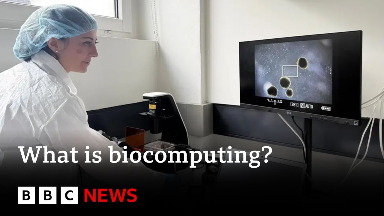 What is biocomputing? | BBC News