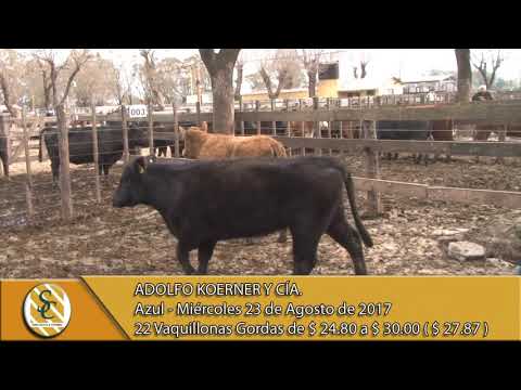 23-08-17 Venta de Hembra - Adolfo Koerner y Cía. - Azul