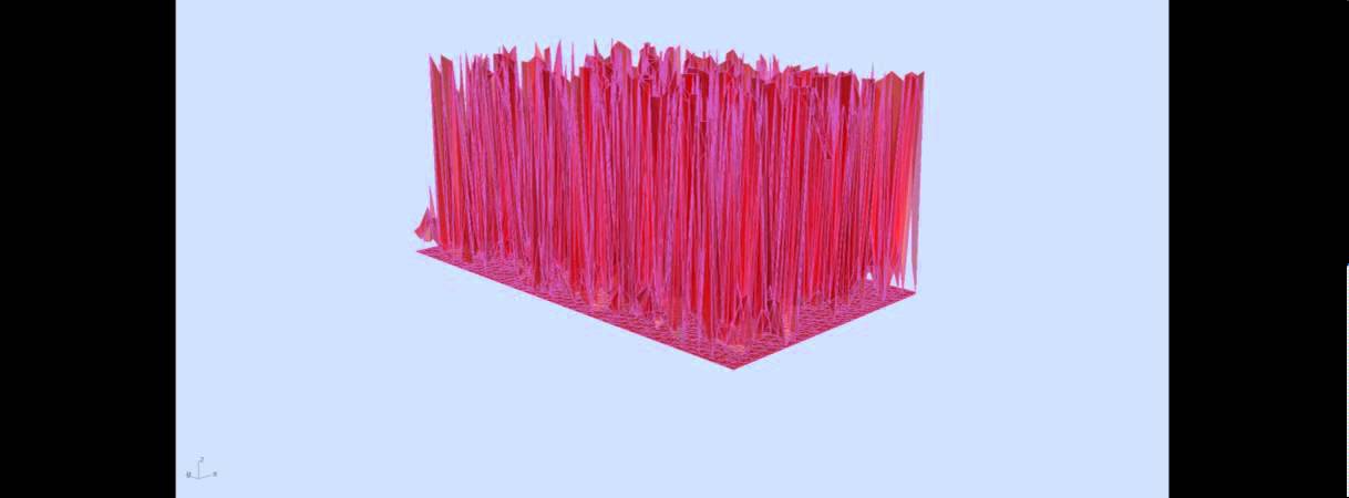 digital ecologies final animation