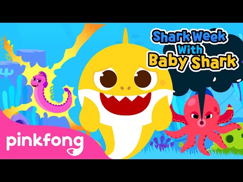 Meet the Naughty Ocean Friends | Shark Week with Baby Shark | Pinkfong Songs for Children