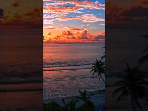 Bright Sunset on Beach