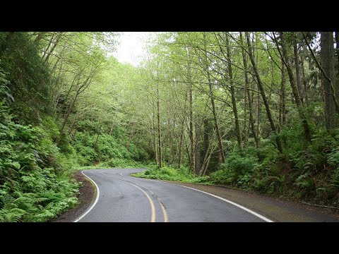 Mapping the Unknown - An Overview of the NDS