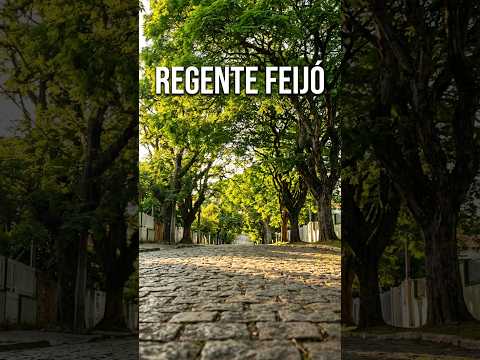 Regente Feijó | Interior Paulista