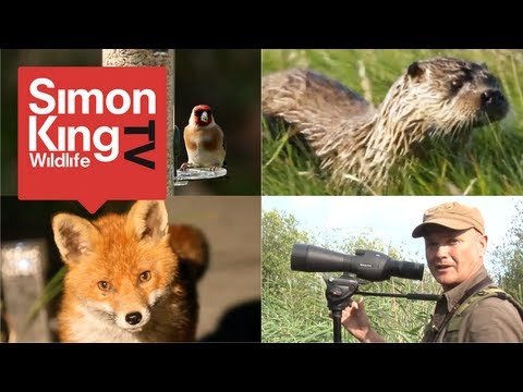 Introduction - Welcome to Simon King Wildlife TV