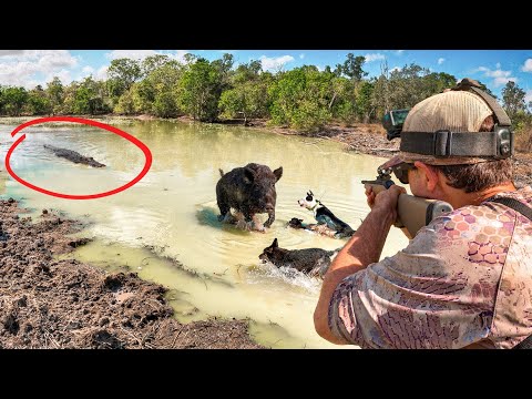 CHAOS IN CROC COUNTY: Hunting Feral Pigs In Remote Australian Goes Wrong 