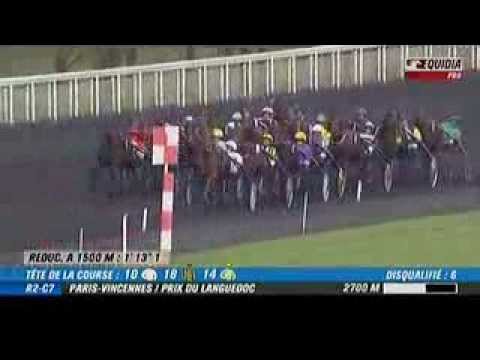 Prix du Languedoc 2013 -Talicia Bella