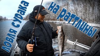 Ловля на раттлины летом в отвес