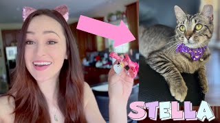 New FUR Baby!!