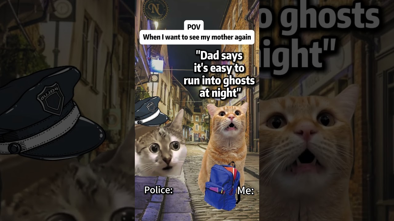 I Met a Kid at Night… His Reason Broke Me 😭 | #catmeme #relatable #shorts