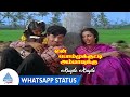 En Bommukutty Ammavukku Movie Songs Kuyile Kuyile Song Whatsapp Status Sathyaraj Suhasini
