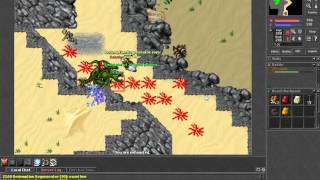 Tibia - Kina x Dragon