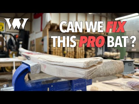 Can we FIX this PRO Cricket Bat? - World Class Willow