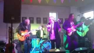 The Pretty Things - Honey, I Need