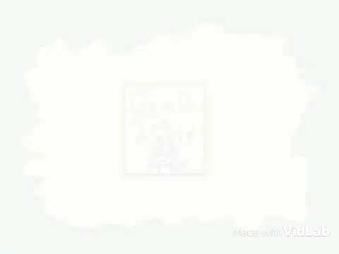 Geo's 1st Movie DVD Trailer