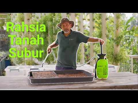 Jenis-Jenis Tanah: Rahsia Biji Benih Cepat Tumbuh 🌱 | Projek Kebun Homegrown