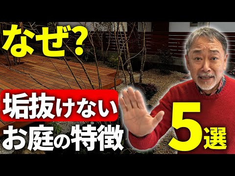 あなたの庭に鳥を引き寄せる方法 ガーデンデザイン