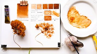 Can You Make Art With Only One Tube of Paint? MAHOGANY BROWN Watercolor