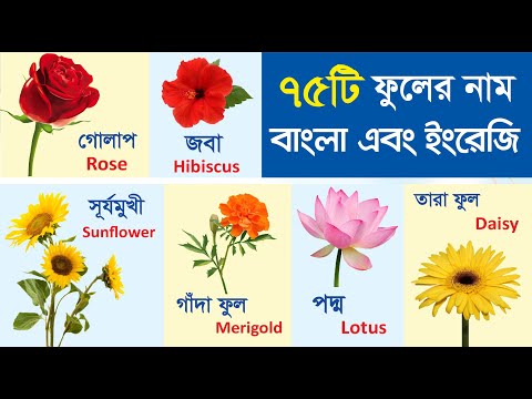 75টি ফুলের নাম বাংলা এবং ইংরেজীতে | 75 Flowers name with pictures Bengali and English for kids