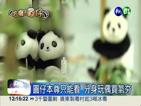 把"圓仔"帶回家! 擬真玩偶最熱賣