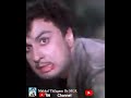 MGR MGR Mass Fight Scene Oli Vilakku Mgr Movie Seen Ex Chief Minister Evergreen Hero
