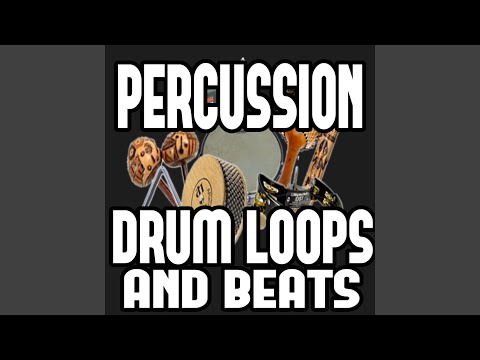 Shaker Long Percussion Loop 80bpm