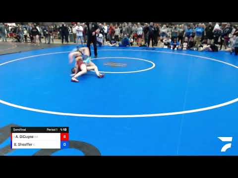 127 Lbs Semifinal - Anna DiCugno, WA Vs Brooklyn Sheaffer, IL 8bee